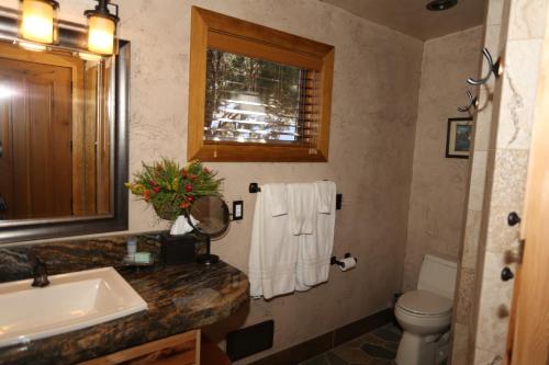 a bathroom with a sink and a toilet and a mirror at Cougar Ridge Resort in Torrey