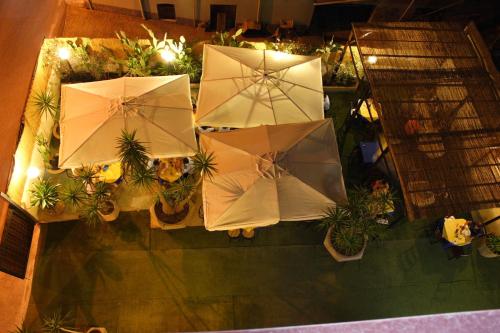 an overhead view of a group of umbrellas and plants at Hotel Piro in Torrenova