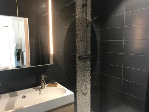 グランカン・メジーにあるLe Cocon d Agatheの洗面台と鏡付きシャワーを備えたバスルーム