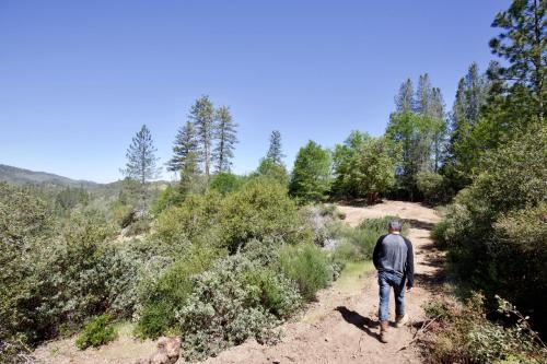 a man walking on a dirt trail in the woods at Mandala Springs in Cobb