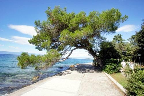 Φυσικό τοπίο κοντά σε αυτό το διαμέρισμα