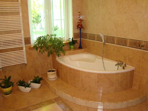 a bath tub in a bathroom with potted plants at Pensjonat Dworek Baranówka in Goniadz