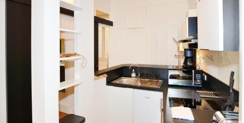 eine Küche mit einer Spüle und einer Arbeitsplatte in der Unterkunft Appart' Gailleton in Lyon