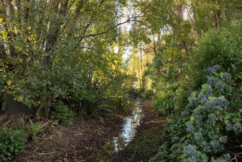 a path through a forest with trees and flowers at Folster Gardens Bed and Breakfast in Invercargill