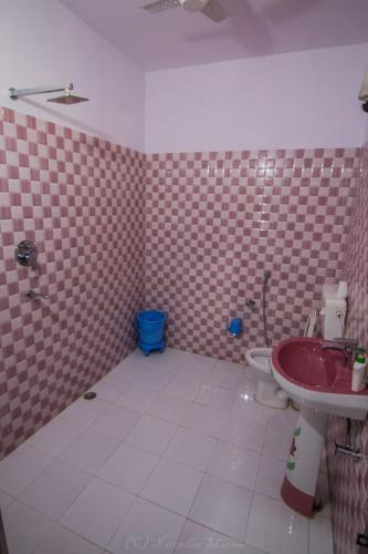 a bathroom with a red sink and a toilet at Sanctuary Tourist Lodge in Bharatpur
