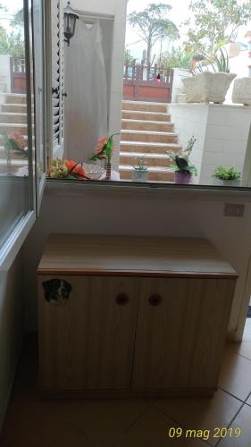 a room with a window with potted plants on it at Villetta Carati in Torre dell'Orso