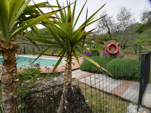 a garden with a fence and a swimming pool at Agriturismo "Crocino in Chianti" in Gaiole in Chianti