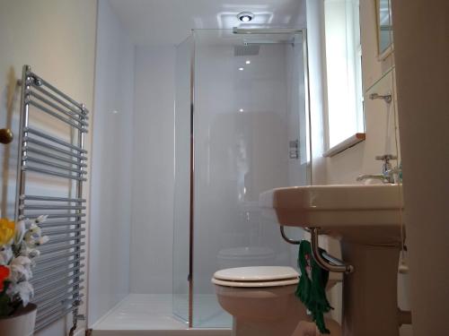 a bathroom with a shower and a toilet and a sink at Worfield in Hereford