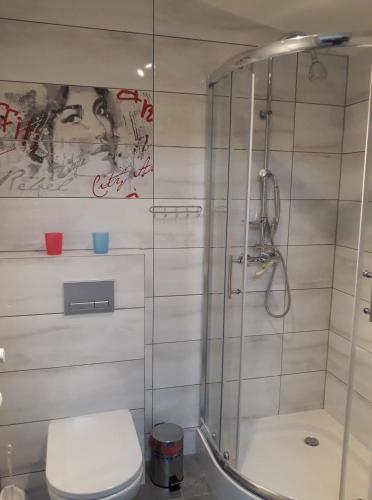 a bathroom with a shower and a toilet at Agroturystyka Stokrotka in Kroczyce