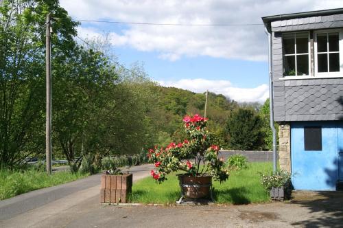 uma casa com um vaso de planta ao lado de uma estrada em Pension Oberberg em Lindlar