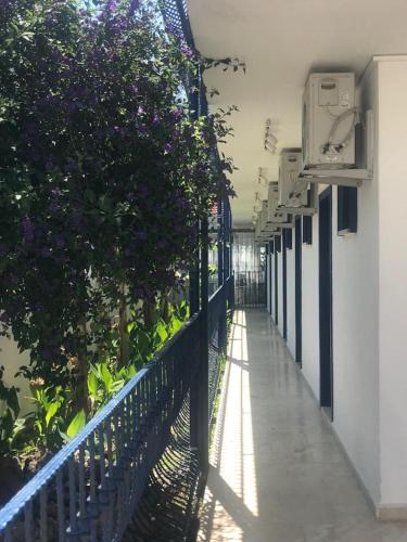 a hallway of a building with trees and plants at Rota Hotel in Dalyan
