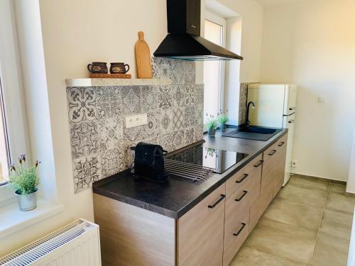 a kitchen with a counter top and a refrigerator at Penzion Holín u Prachovských skal in Jičín