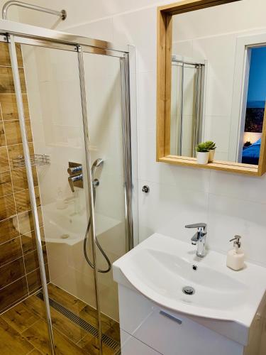 a bathroom with a shower and a sink at Penzion Holín u Prachovských skal in Jičín