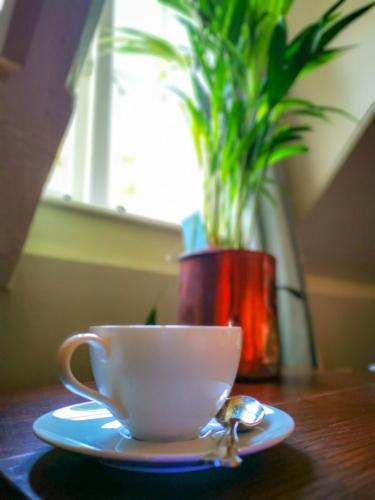 a cup and a spoon on a table with a plant at Cedar House Boutique B&B in Burton