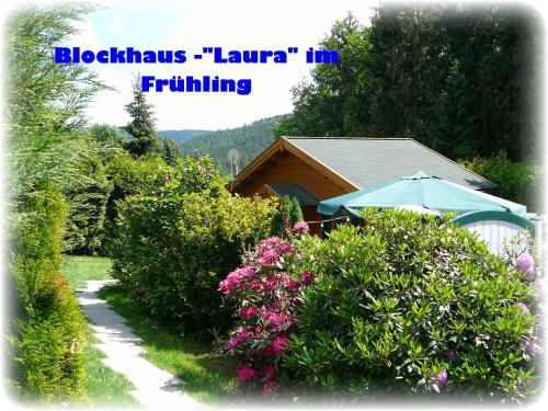 Gallery image of Ferienhaus Laura in Amtsberg