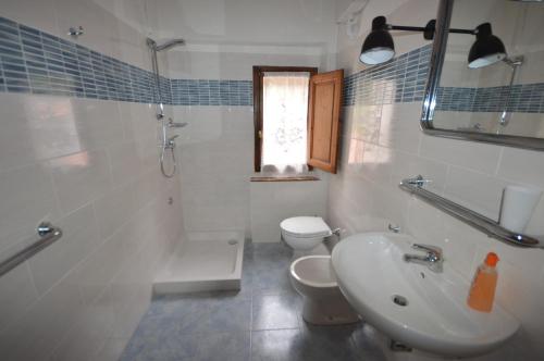 uma casa de banho com um lavatório, um WC e um chuveiro em Il cedro em Molino del Pallone