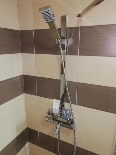 a shower in a bathroom with brown and white stripes at Casa Daomi in Deva
