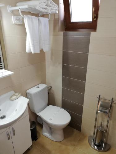 a bathroom with a toilet and a sink at Casa Daomi in Deva