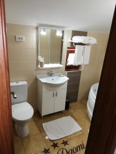 a bathroom with a toilet and a sink and a mirror at Casa Daomi in Deva