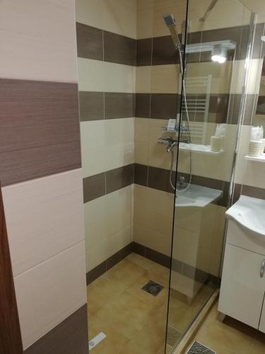 a shower with a glass door in a bathroom at Casa Daomi in Deva