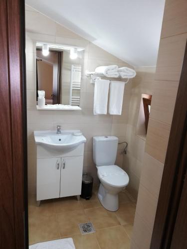 a bathroom with a toilet and a sink and a mirror at Casa Daomi in Deva