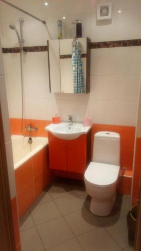 a bathroom with a toilet and a sink at Brivibas Avenue Apartment in Jūrmala