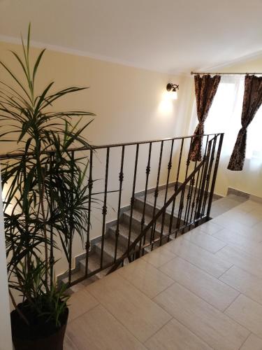 a staircase in a house with a plant at Casa Daomi in Deva