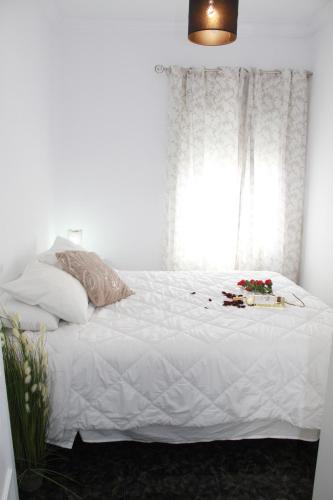 Shiny Per Family Apartment