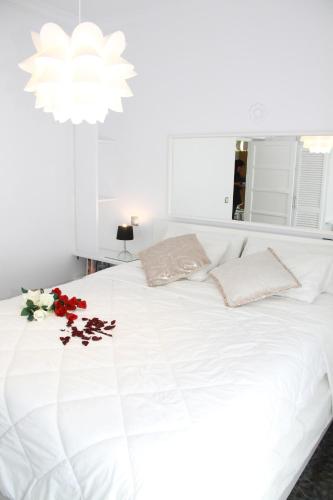 Shiny Per Family Apartment