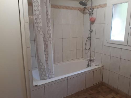 une salle de bain avec baignoire et douche dans l'établissement UN COIN DE PROVENCE ,LA Maison D'ANTOINE, à La Roque-sur-Pernes