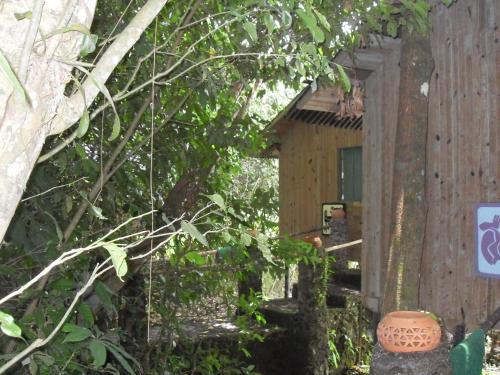 an outside view of a tree house at Reserva Ecologica Nanciyaga in Catemaco
