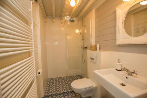 a bathroom with a toilet and a sink and a shower at Landelijk logeren bij De Witte Kip in 't Harde