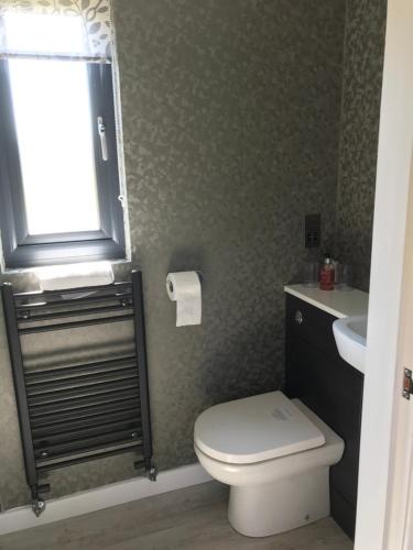a bathroom with a toilet and a sink and a window at Parkknott Retreat Luxury Lodge with Private Hot Tub in Askam in Furness