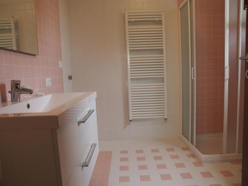 a bathroom with a sink and a shower at Alloggio Agrituristico Ai Tre Castelli in Moruzzo