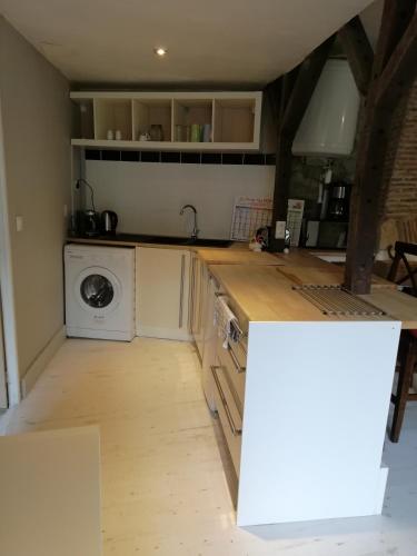 - une cuisine avec un comptoir et un lave-linge dans l'établissement Maison de Maitre II, à Availles-Limouzine