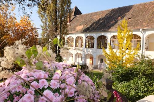 Zahrada ubytování Schloss Welsdorf