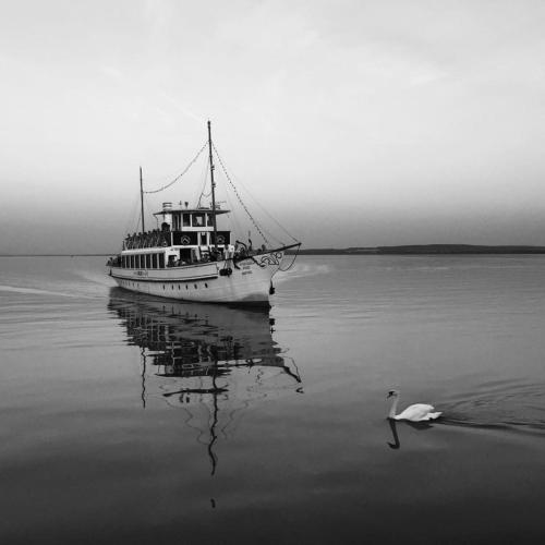 a boat in the water with a swan next to it at ZÁMOR HOLIDAY HOUSE in Keszthely