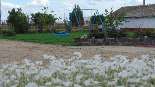 Anna Apartman 6921 Maroslele, 2 Rákóczi utca kép - 3