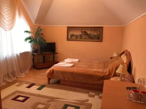 - une chambre avec un lit, une télévision et une fenêtre dans l'établissement Lorena, à Odessa