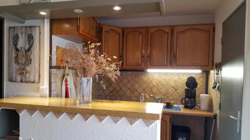 une cuisine avec un vase de fleurs sur un comptoir dans l'établissement T2, à Gruissan