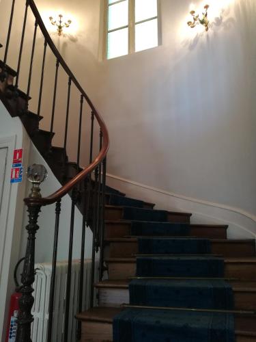 a staircase in a house with blue carpet at Manoir de Bolbec in Bolbec
