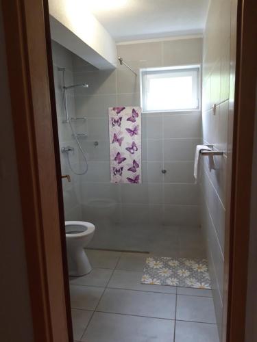 a bathroom with a shower and a toilet at Apartment Sanja in Smoljanac