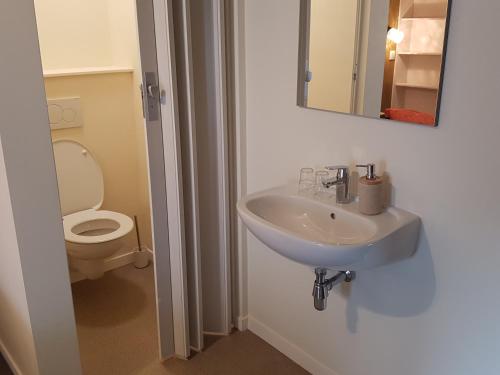 a bathroom with a sink and a toilet at Panama RIO in Waulsort