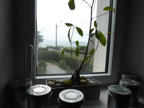 Photo de la galerie de l'établissement Gîtes La zélidja, à Loctudy