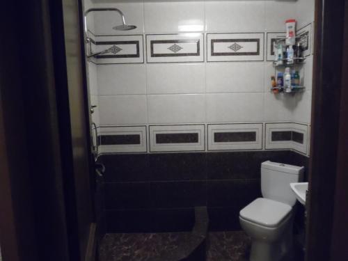 a bathroom with a toilet and a sink at Guest House Tamta in Stepantsminda