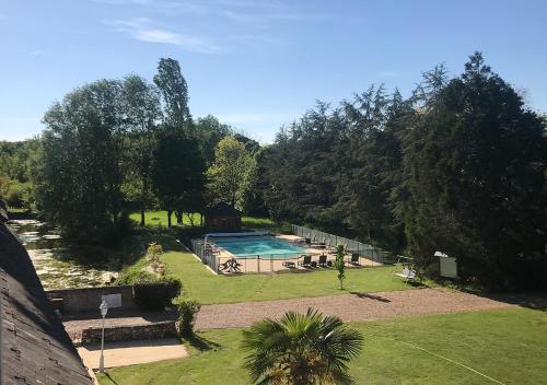 an aerial view of a garden with a swimming pool at Le vieux château de Hommes in Hommes