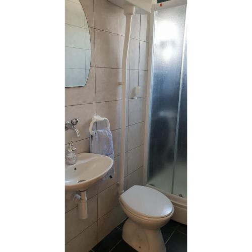 a bathroom with a toilet and a sink and a shower at Studio apartman, 2+1 in Brodarica