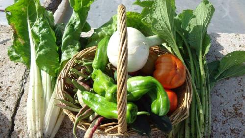 a basket filled with vegetables on a table at Casa Rural Martina in Guadalaviar