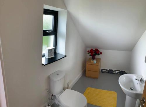 a white bathroom with a toilet and a sink at Primrose Place Portrush in Portrush