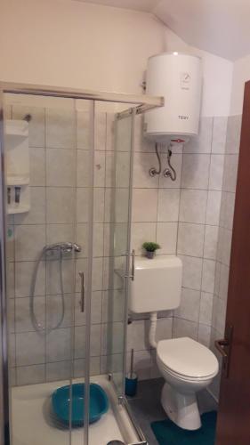 łazienka z przeszklonym prysznicem i toaletą w obiekcie Latmo Apartment Zadar w mieście Zadar